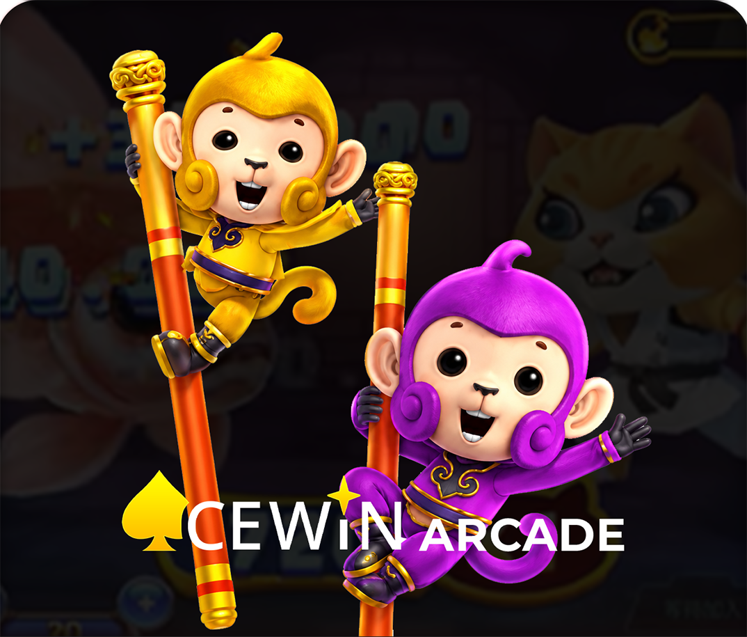 ACEWIN ARCADE